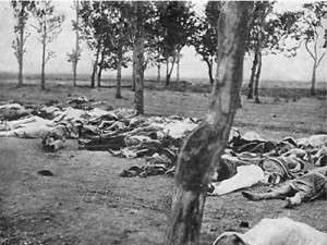 Armenian genocide victims by Morgenthau